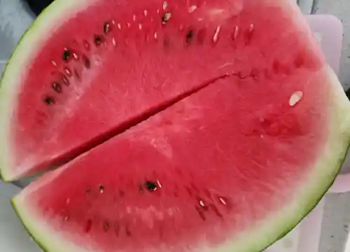 수박 이미지