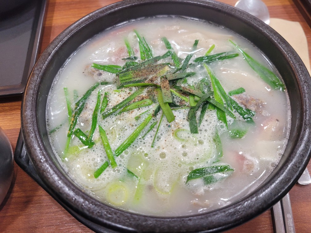 대구 돼지국밥 맛집