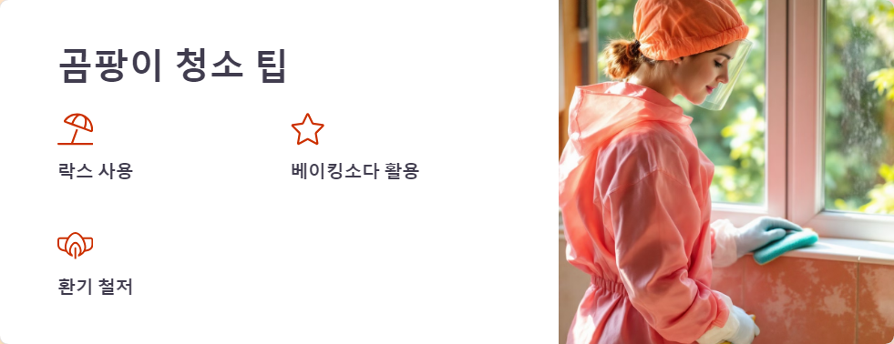 곰팡이청소