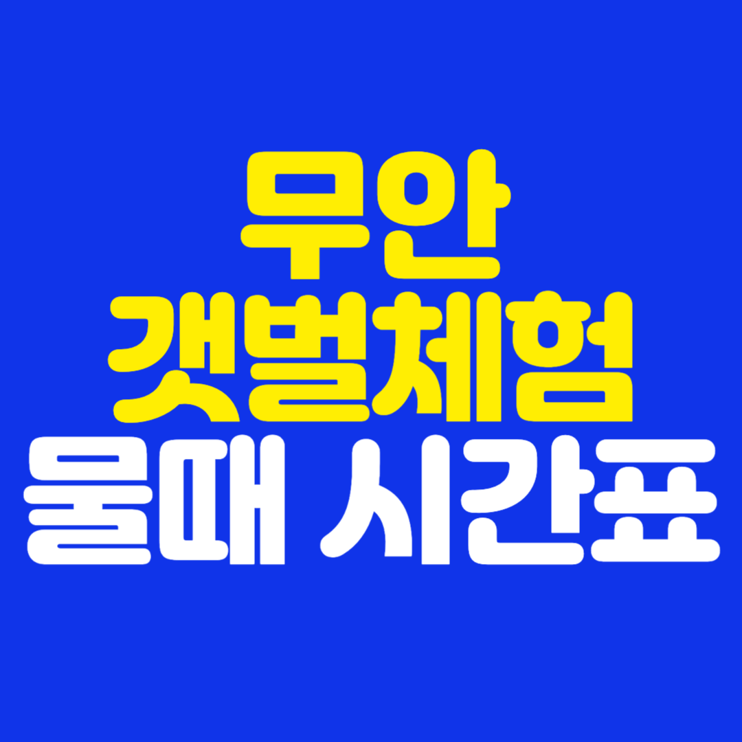 무안 갯벌체험 물때 시간표 실시간 확인 방법