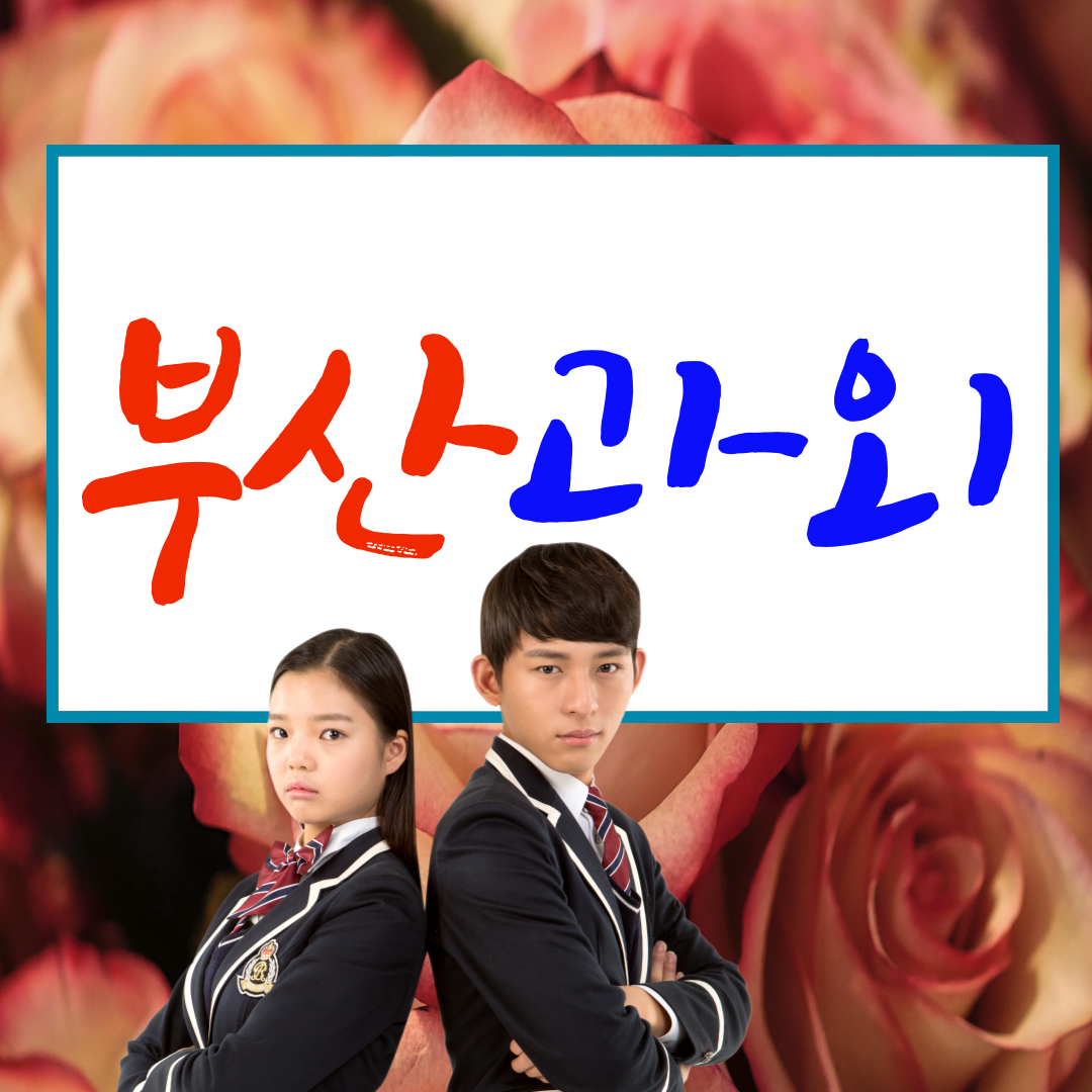  부산 광안동 수학과외  망미동 고등 영어과외 중등 과학 사회