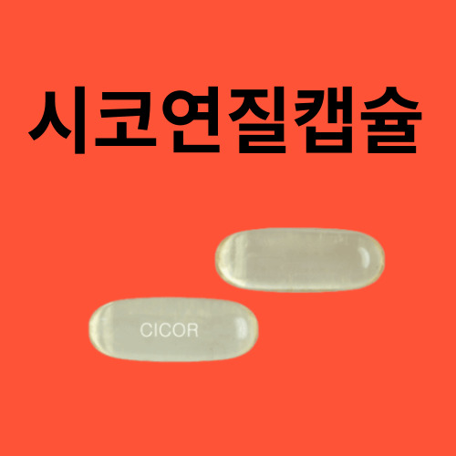 시코연질캡슐