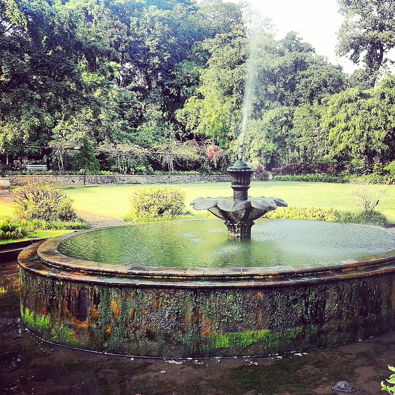 old fountain