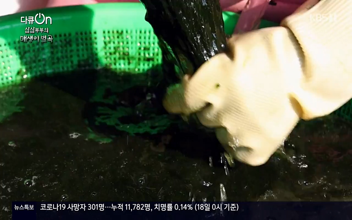 다큐 온.E131p-NEXT.mp4_20220319_173948.934.jpg