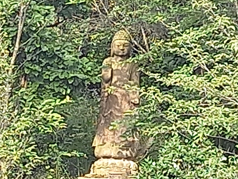 img.jpg