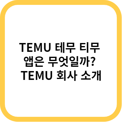 TEMU 테무 티무 앱은 무엇일까 TEMU 회사 소개