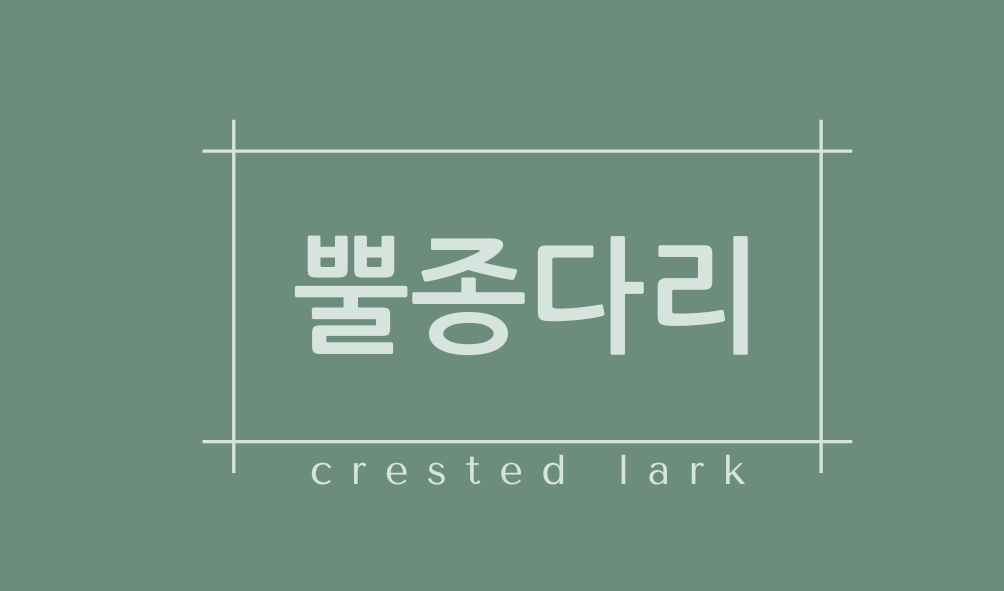 뿔종다리(crested lark)