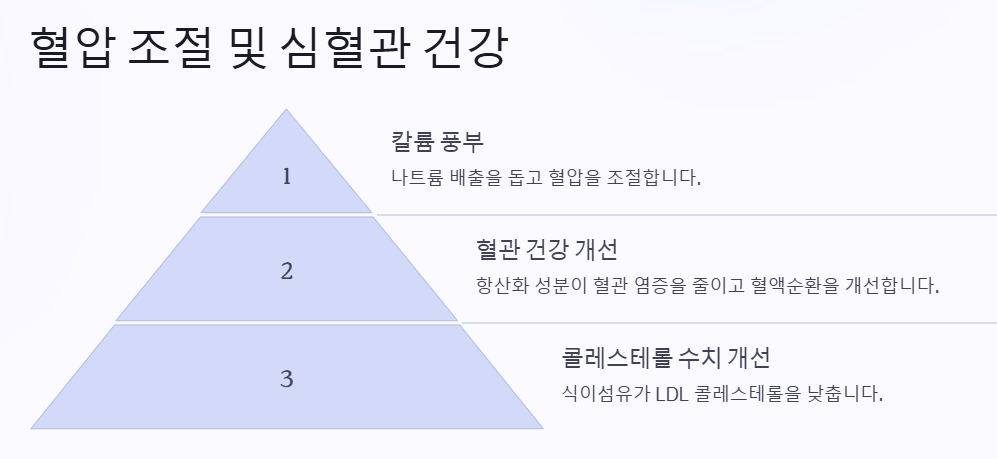 양배추 효능