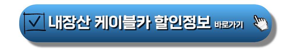 내장산 케이블카