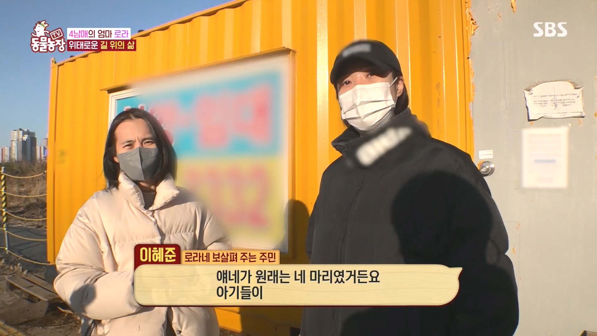 TV 동물농장.E1160.240225p.H264-F1RST.mp4_20240225_165120.180.jpg