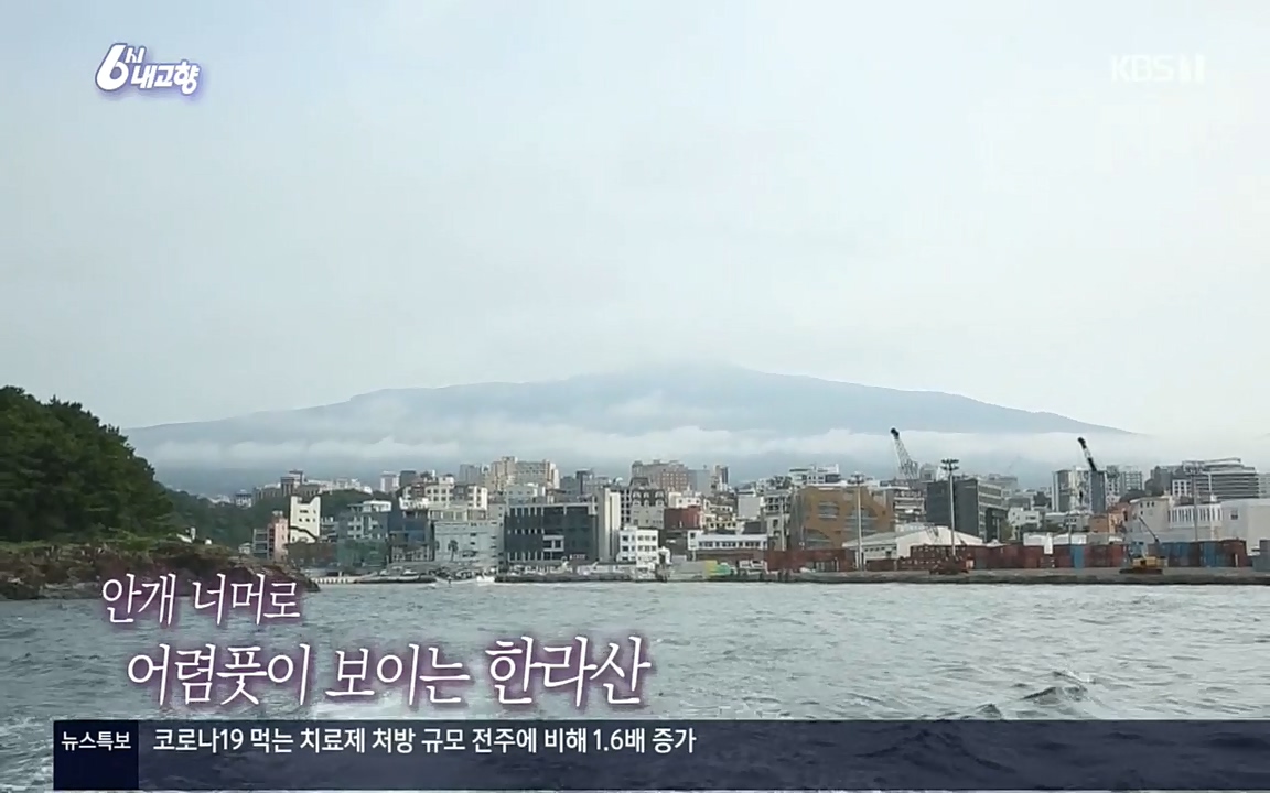 6시 내고향.E7596.220813p.H264-F1RST.mp4_20220814_175710.574.jpg