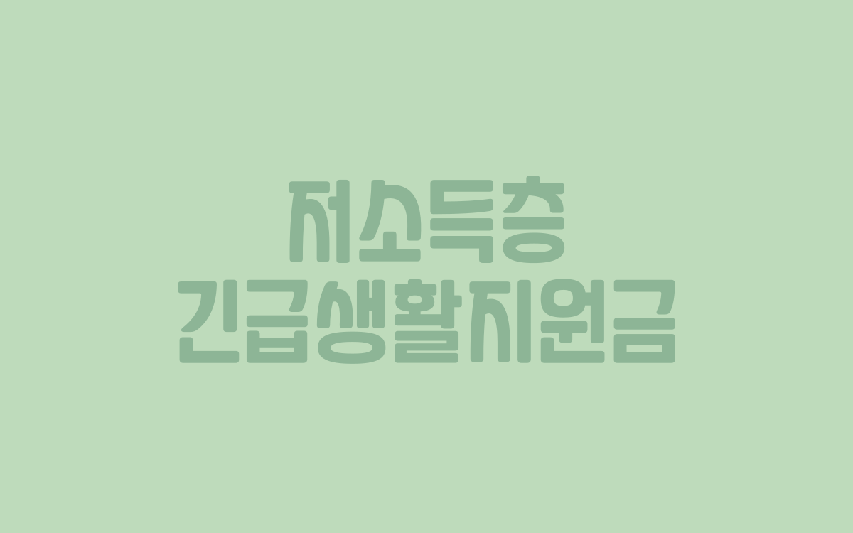  저소득층 긴급생활지원금
