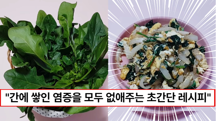 “간에 쌓인 염증이 녹아내립니다” 간 건강에 좋은 슈퍼푸드 시금치 제일 간단한 레시피 시금치달걀볶음