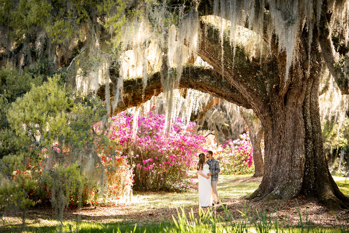 매그놀리아 식물원과 정원 Magnolia Plantation and Gardens