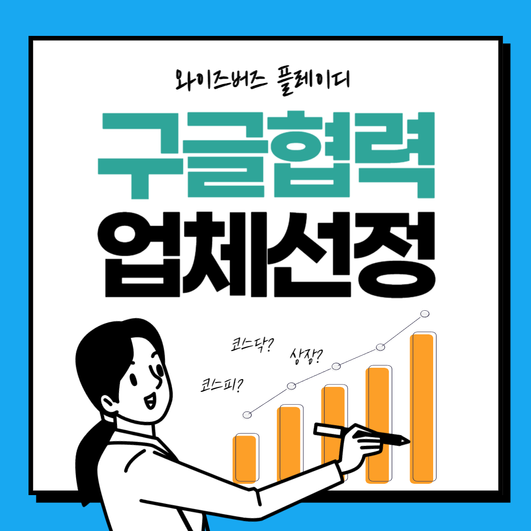  와이즈버즈, 플레이디, 구글, 구글파트너스 2024