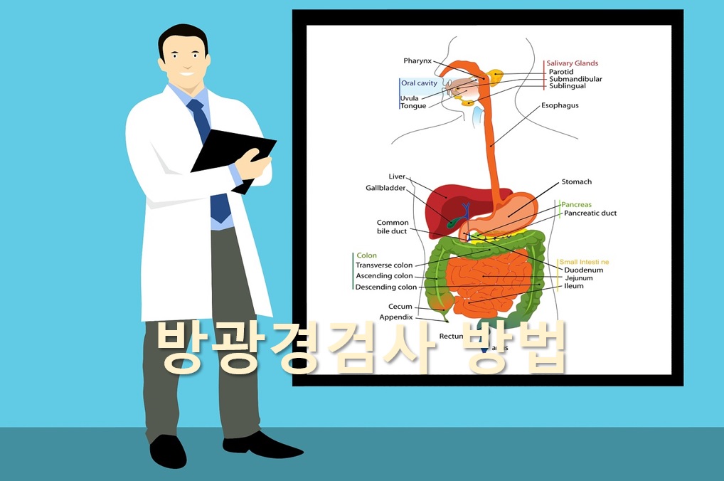  요도와 방광 내막의 이상을 확인하는 방광경검사 방법