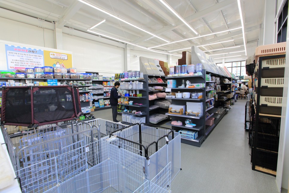 아이들과 항상 붙어있나요? 천안애견호텔 펫시터가 2