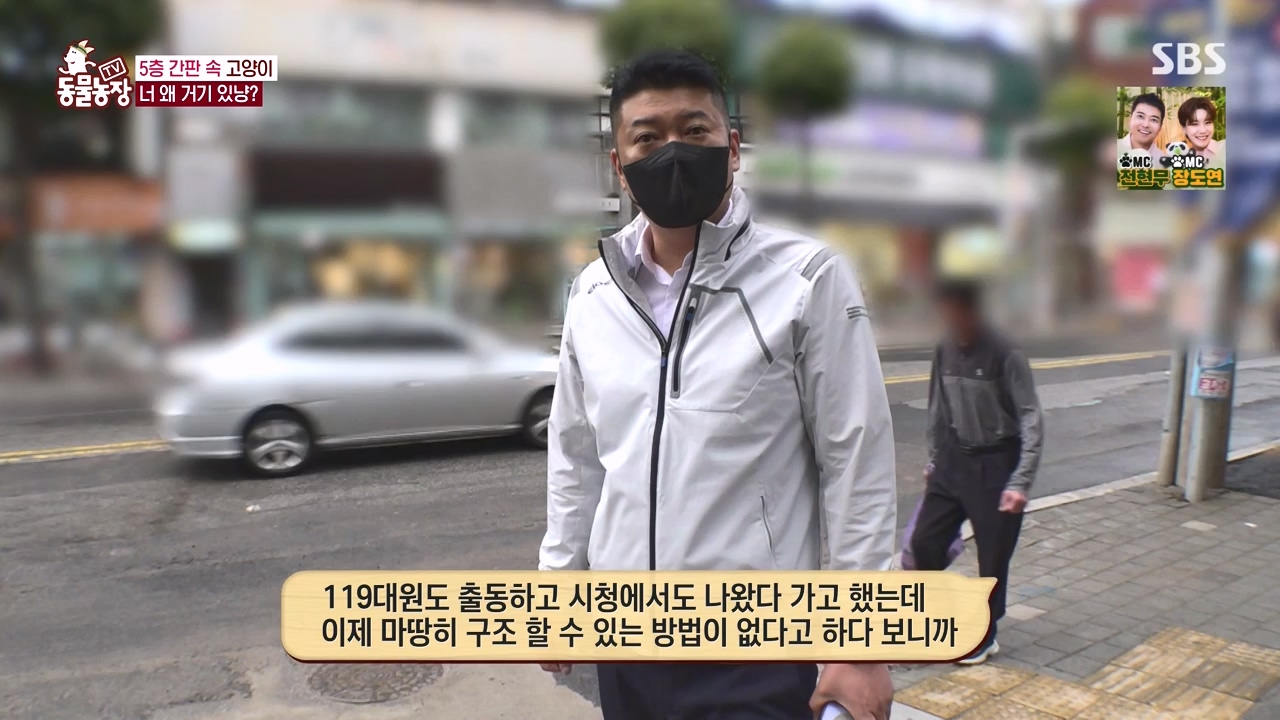 TV 동물농장.E1146.231120p-NEXT.mp4_20231119_175250.330.jpg