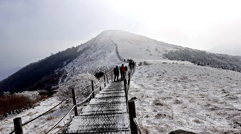소백산 설경