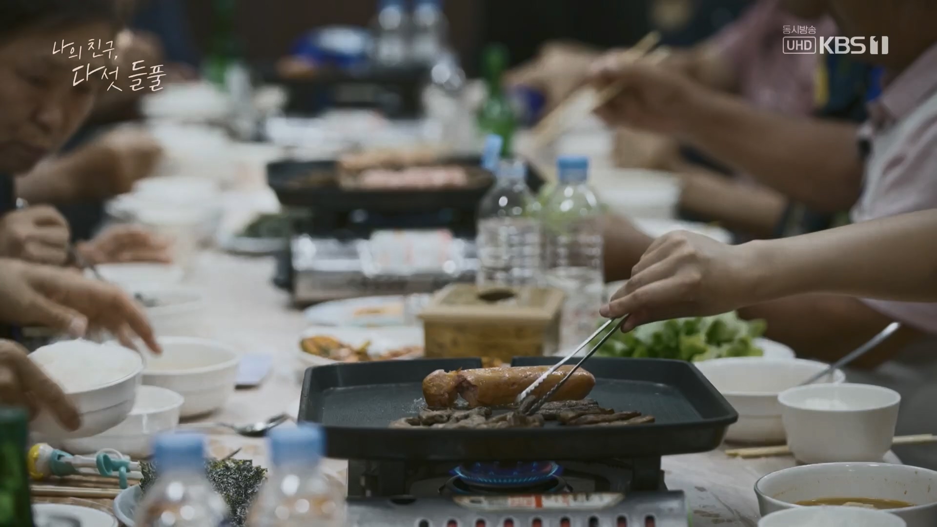 특집 다큐 나의 친구, 다섯 들풀.240119p.H264-F1RST.mp4_20240121_151741.437.jpg