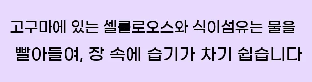  고구마에 있는 셀룰로오스와 식이섬유는 물을 빨아들여, 장 속에 습기가 차기 쉽습니다