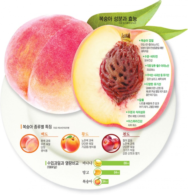 복숭아아저씨 이미지
