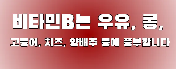  비타민B는 우유, 콩, 고등어, 치즈, 양배추 등에 풍부합니다