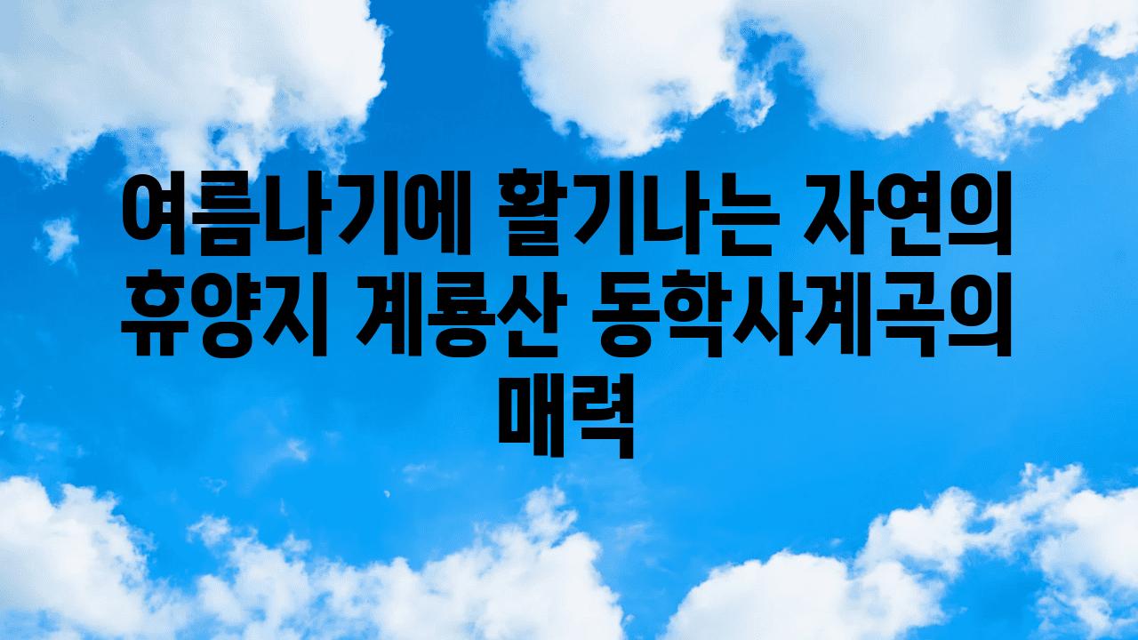 여름나기에 활기나는 자연의 휴양지 계룡산 동학사계곡의 매력