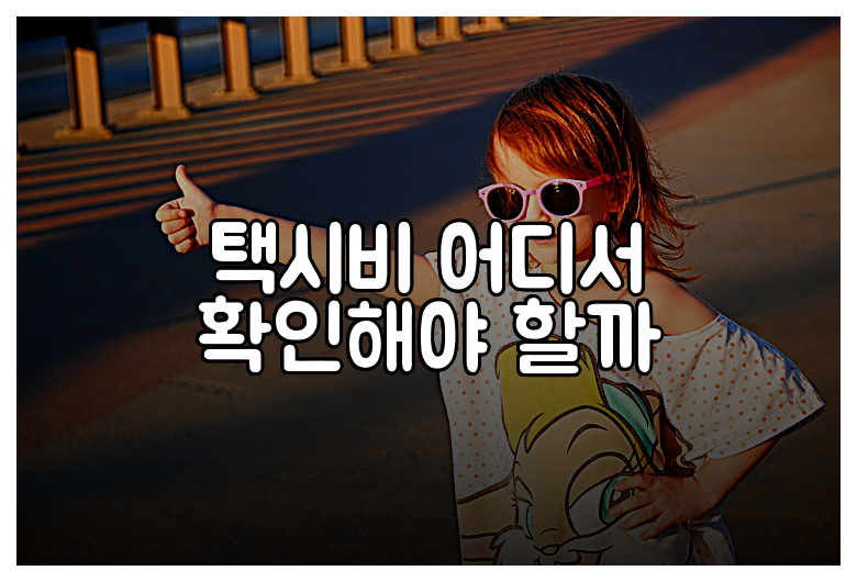 택시비 어디서 확인해야 할까