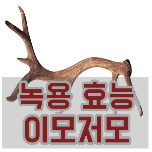  녹용 효능과 먹을때 주의점