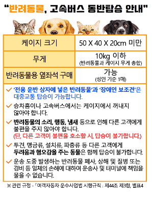 티머니 고속버스 시외버스 예매방법
