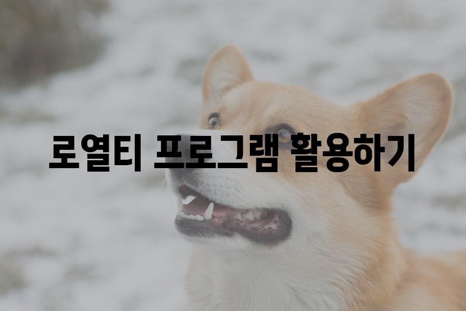 로열티 프로그램 활용하기