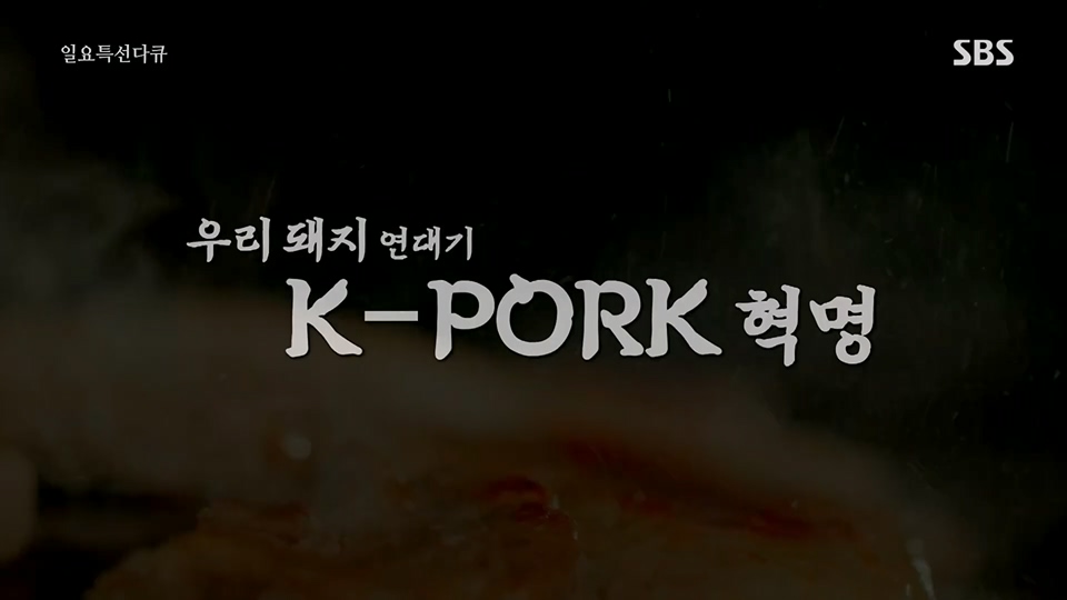 일요 특선 다큐멘터리.E315.230716p.H264-F1RST.mp4_20230717_210608.480.jpg