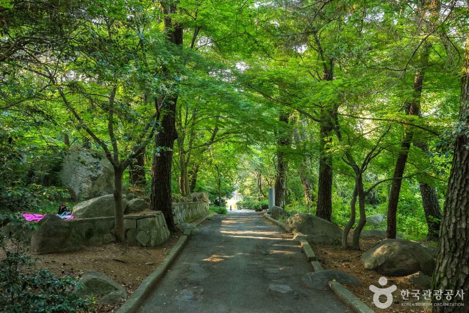 부산 여행 - 09 체험&amp;#44; 관광&amp;#44; 근교여행&amp;#44; 아이와 갈만한곳&amp;#44; 가볼만한곳&amp;#44; 추천 관광 여행지 여름 부산광역시 여행지도 부산명소