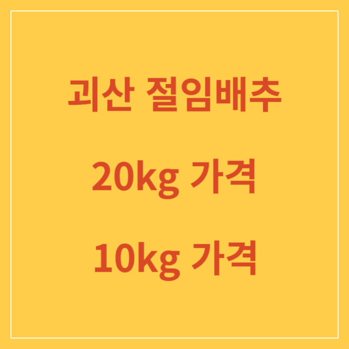 괴산 절임배추 가격