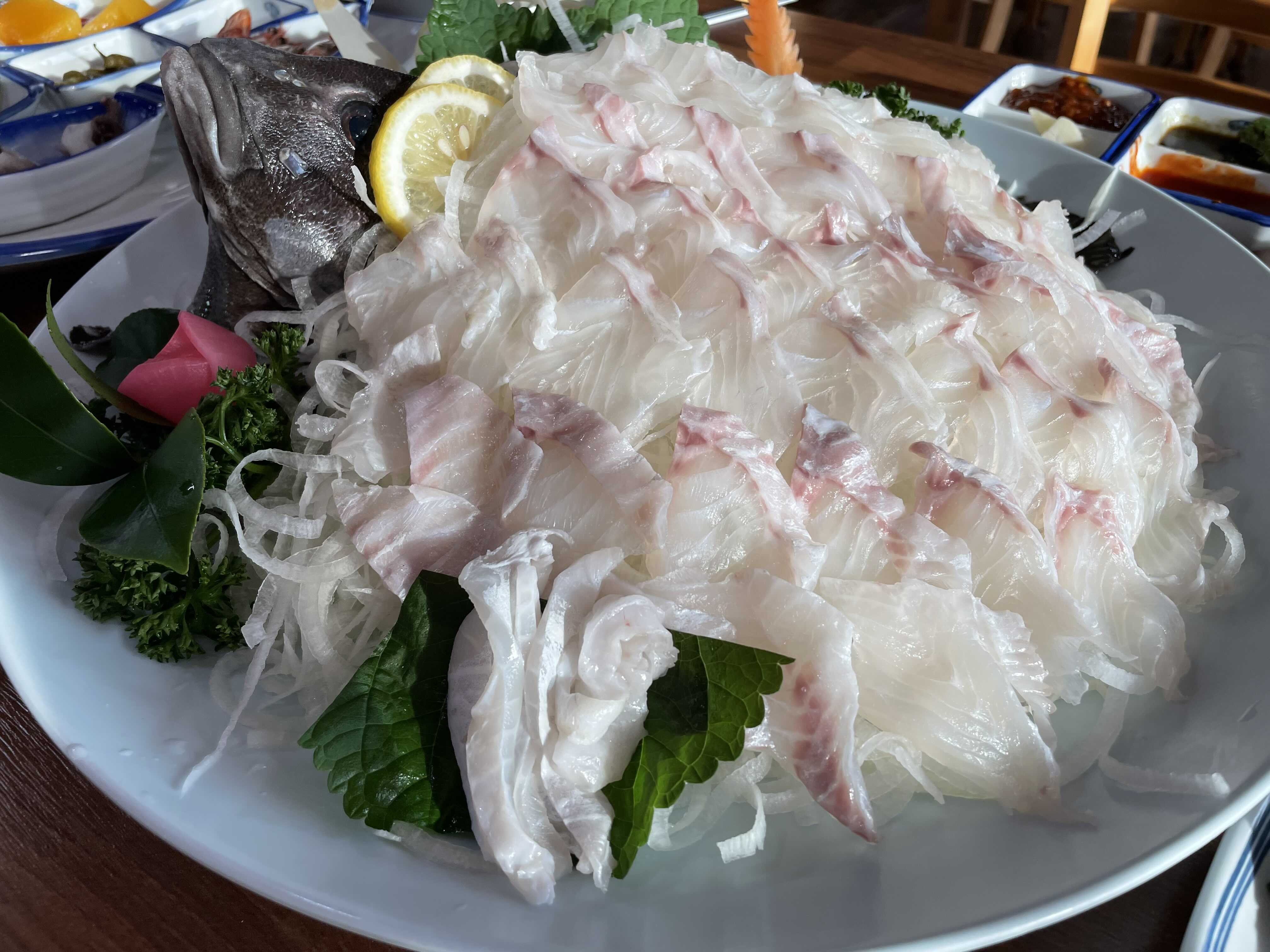  제주도민 추천 돗돔 찐맛집 대포동산횟집 솔직후기
