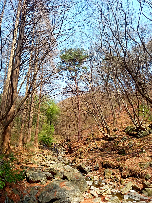 청계산맑은숲공원산책로입구