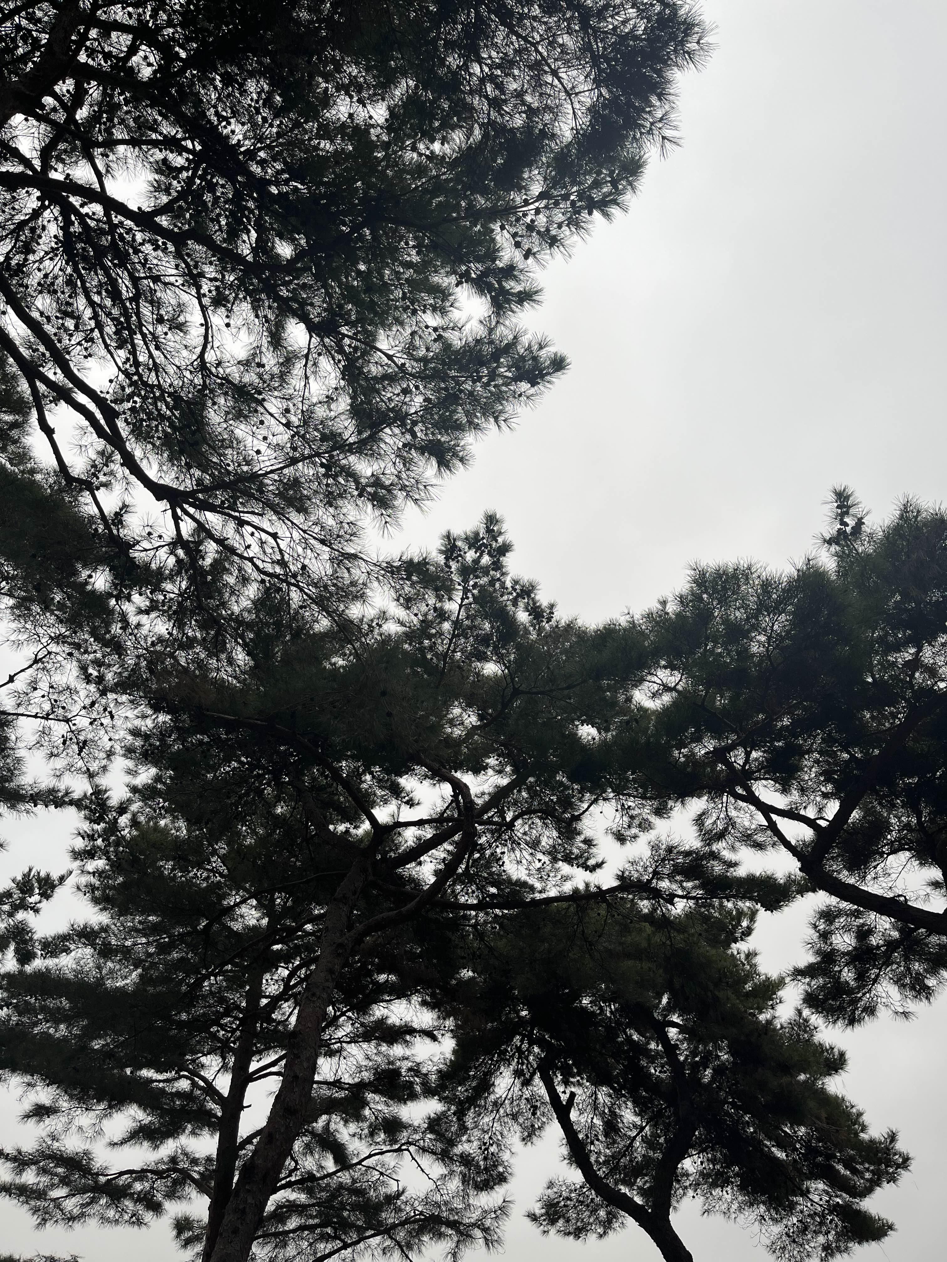  출근길 풍경사진