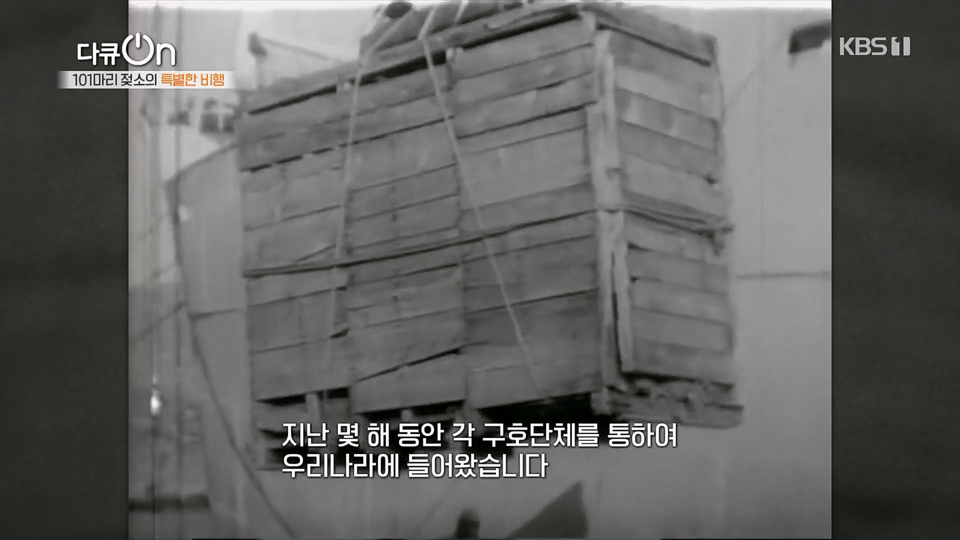 다큐 On.E184.230203p.H264-F1RST.mp4_20230211_173921.533.jpg