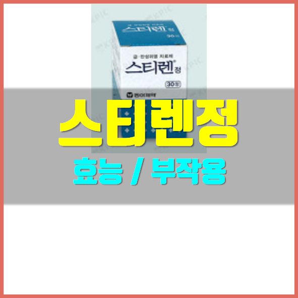  스티렌정 효능 부작용 정보