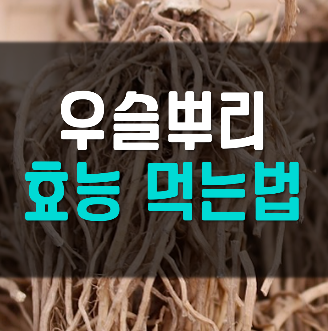  우슬뿌리 효능 먹는법