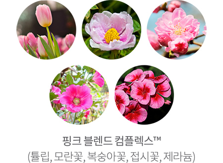 비타스튜디오 이미지