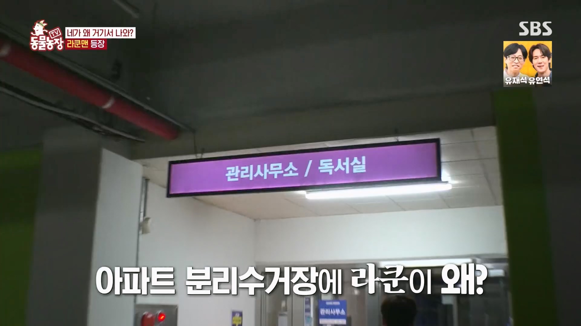 TV 동물농장.E1170.240505p.H264-F1RST.mp4_20240505_153756.726.jpg