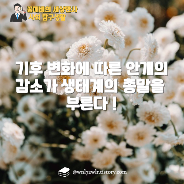기후 변화에 따른 안개의 감소가 생태계의 종말을 부른다 !