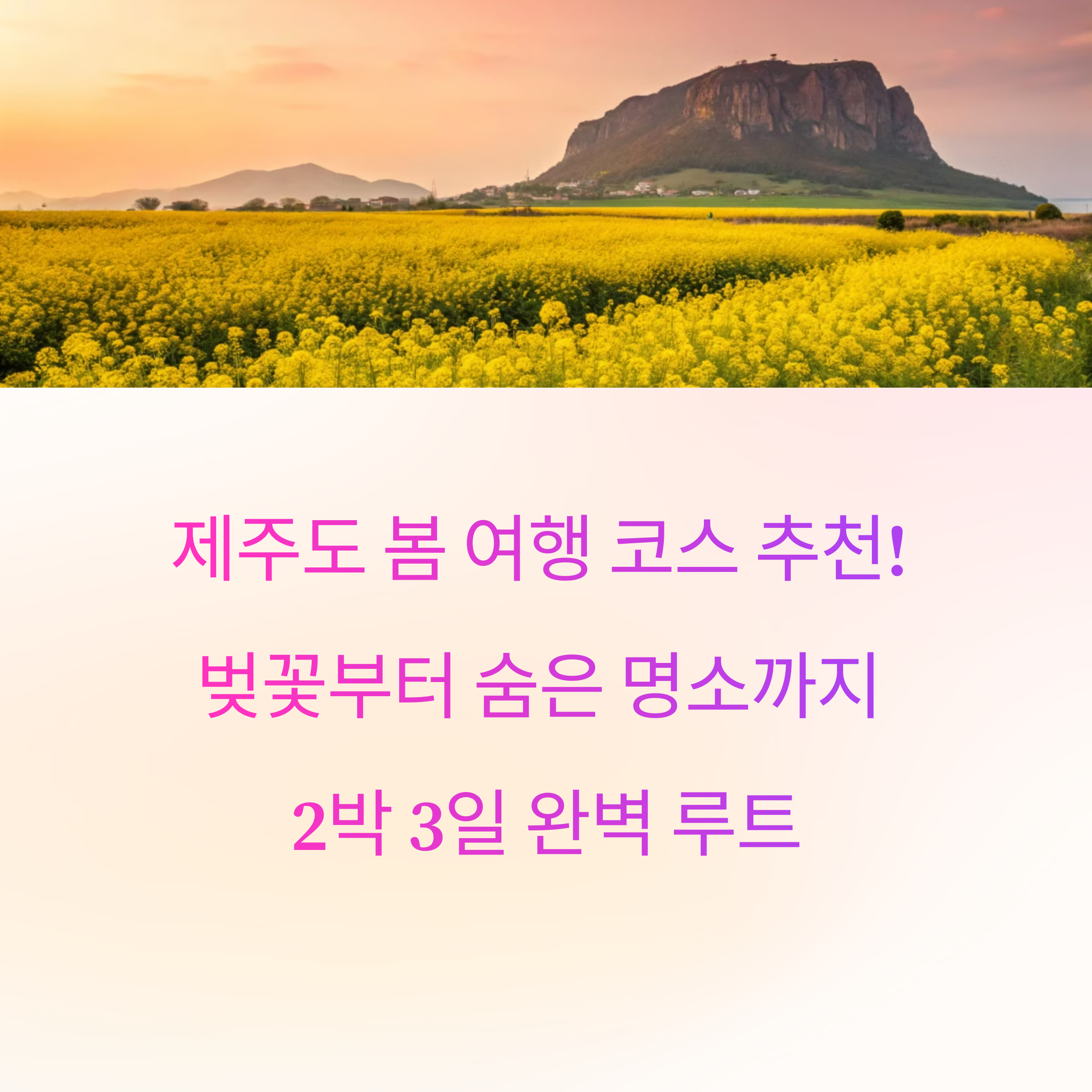 제주도 봄 여행 코스 추천! 벚꽃부터 숨은 명소까지 2박 3일 완벽 루트