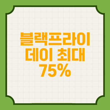 다이슨 청소기 액세서리, 블랙프라이데이 최대 75% 할인 이벤트 진행 중