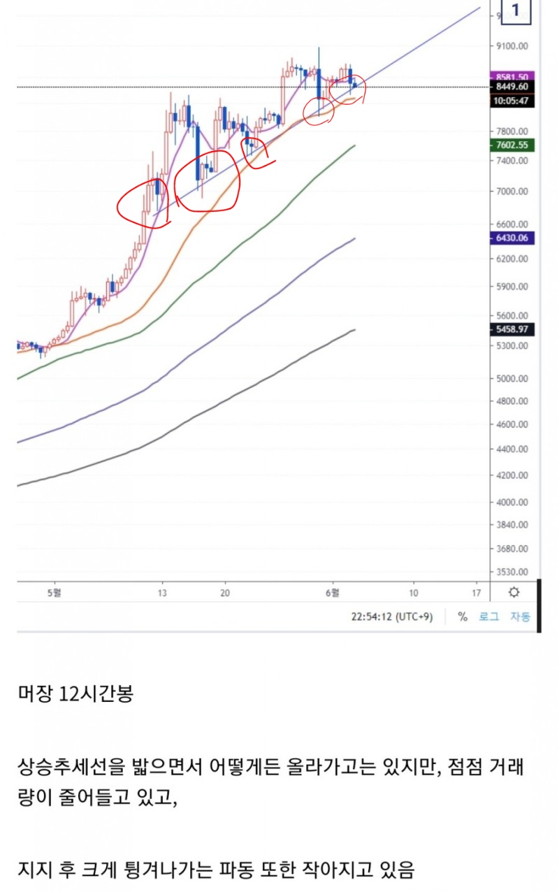 2019년 6월 관점 1