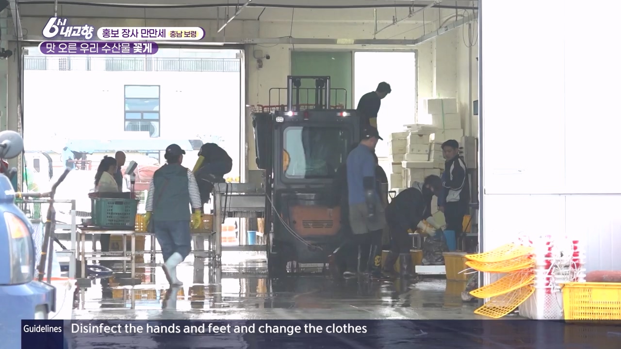 6시 내고향.E7910.231032p-NEXT.mp4_20231101_204606.253.jpg