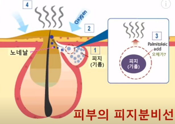 노네날