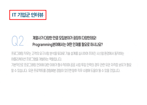 코딩 취업 대학생 코딩 : 8